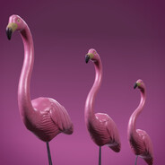 TheBlackAndWhiteWolf