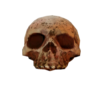 Skull Head