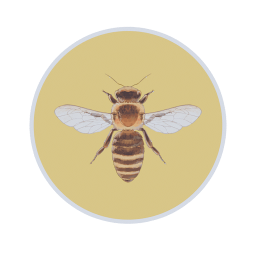 Worker Bee | Summer Meetup 2025